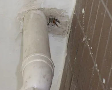 阜新漏水检测哪家好